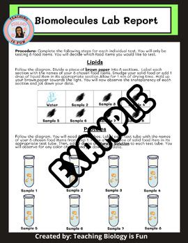 Biomolecules Lab Food Lab Macromolecules Mystery Food Analysis Lab