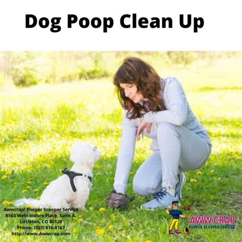 Dog Poop Clean Up - Don't Wait Until Spring! - Pooper Scooper Service ...