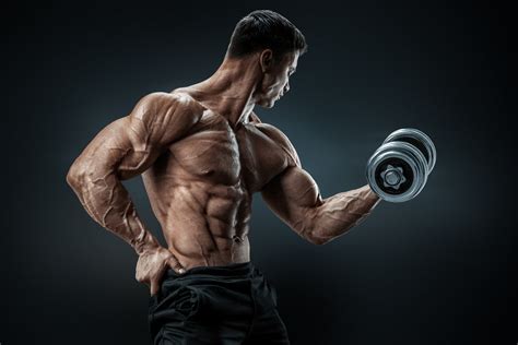 Shredded Body