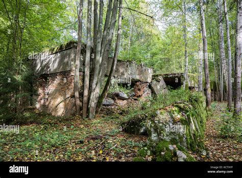 Wolfschanze Wolfs Lair Wolfs Fort Adolf Hitlers Headquarters On