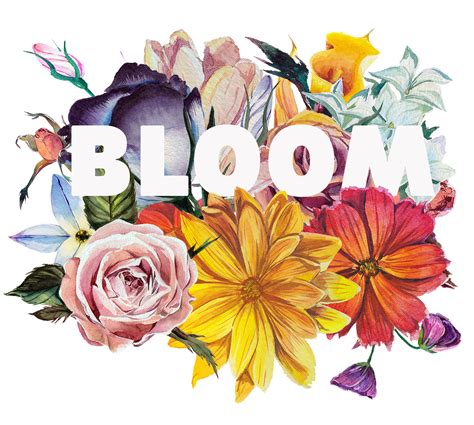 June Clipart June Flower June June Flower Transparent Free For