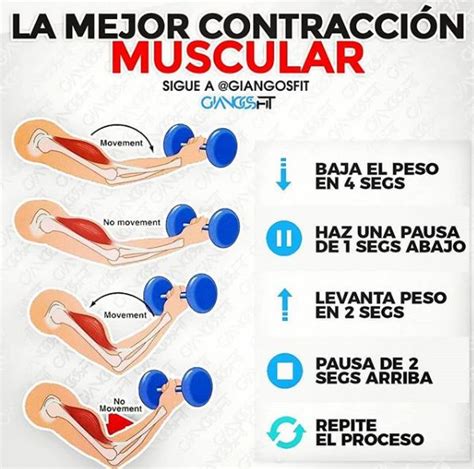 Cómo Entrenar La Fuerza • Fullmusculo Gym Workout Chart Workout