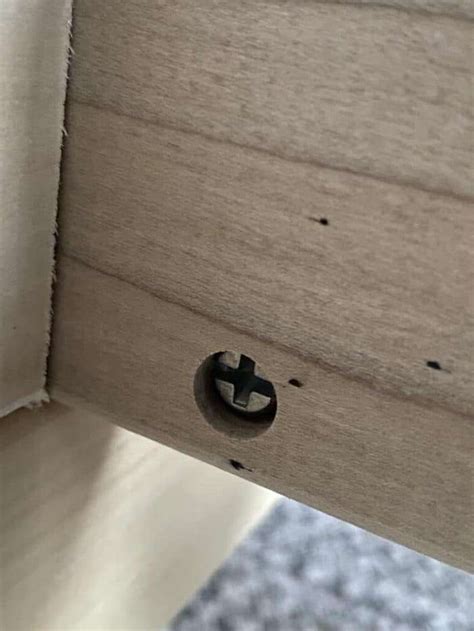 Bed Bug Droppings Hard