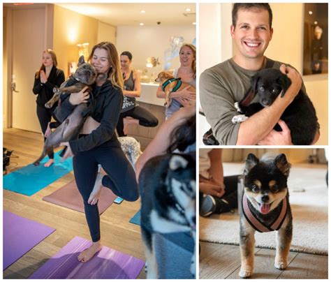 dog-yoga-event - Headstands and Heels