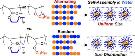 Self Assembly Of Amphiphilic Alternating Copolymers By Chain Folding In