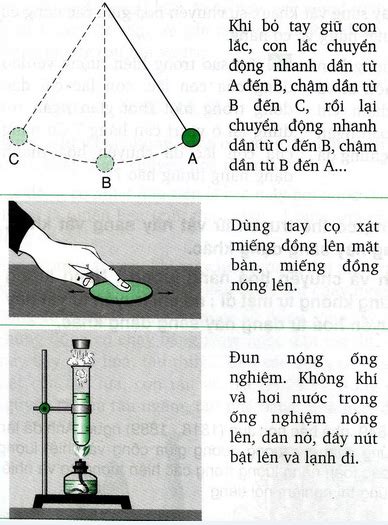 Đáp án Lý Thuyết Sự Bảo Toàn Năng Lượng Trong Các Hiện Tượng Cơ Và