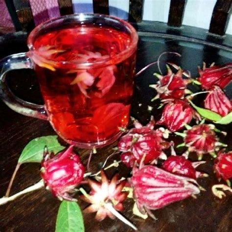 Jual Teh Bunga Rosella Merah Di Seller Wahyu Wulandari Sinduadi Kab