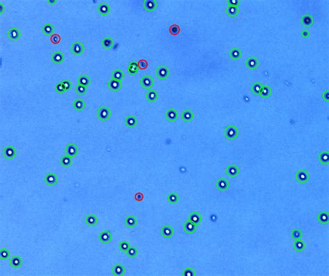 Hl Logos Biosystems Advanced Imaging Solutions For Research