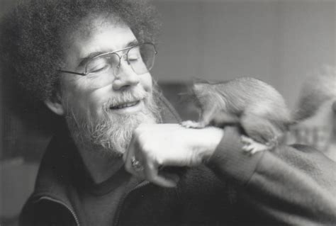 Bob Ross loved happy little squirrels - The Washington Post