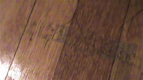 How To Remove Tape Residue From Wood Floor Easy Methods Home