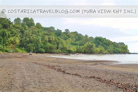 2022 Osa Peninsula Beaches In Costa Rica The Official Costa Rica