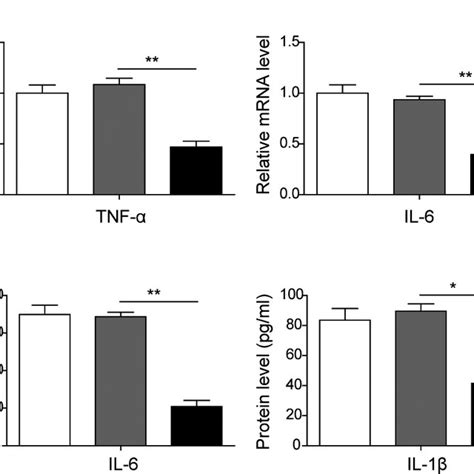 Cardiomyocytes Promoted The Secretion Of Pro Inflammatory Cytokines