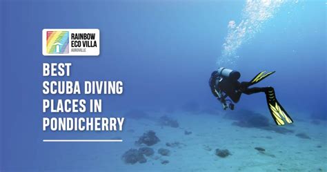 Best Scuba Diving Places In Pondicherry Echo Villa Home Stay