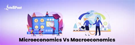 Micro Vs Macroeconomics Key Differences Explained