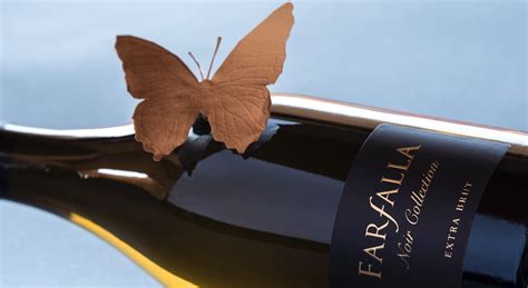 Ballabio Farfalla Metodo Classico Extra Brut Review Xtrawine Blog