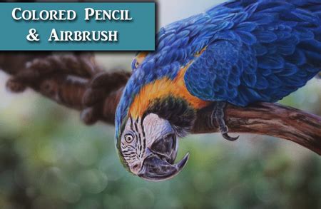 Colored Pencil | Lachri Fine Art