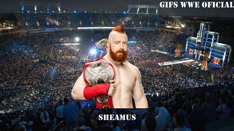 Sheamus Brogue Kick Wallpaper