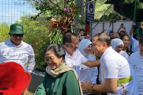 Megawati Tinjau Kebun Raya Mangrove Pertama RI Di Surabaya Hari Ini