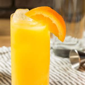 Orange Lemon Vodka Punch - Eats by the Beach