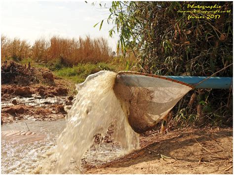 La P Che En Isaan Re Partie Tha Lande Le Blog De Khon Kaen Et De