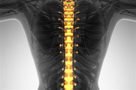 Why Neurosurgeons Are Best For Spine Surgeries | Florida Surgery ...