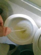 Kamasutra Porno Bilder Sex Fotos XXX Bilder 118157 PICTOA