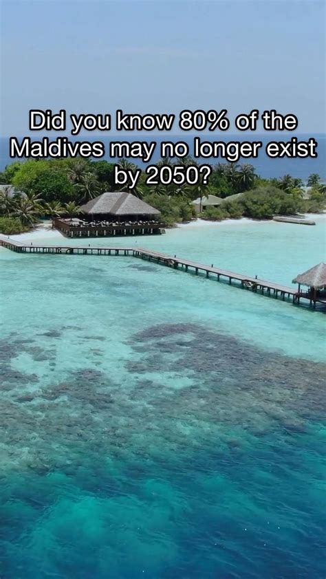 The Maldives are disappearing | Travel fun, Flights to bali, Best flights