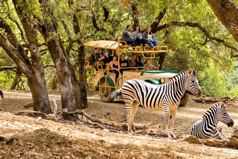 The 30 Best Zoos in the U.S. | Travel | US News