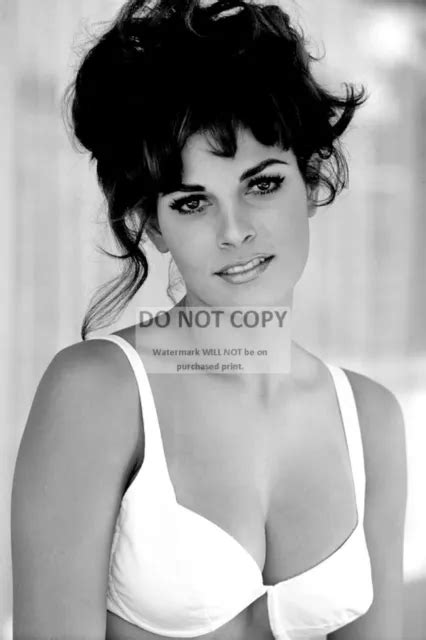 RAQUEL WELCH ACTRESS And Sex Symbol 8X12 Publicity Photo Bt663