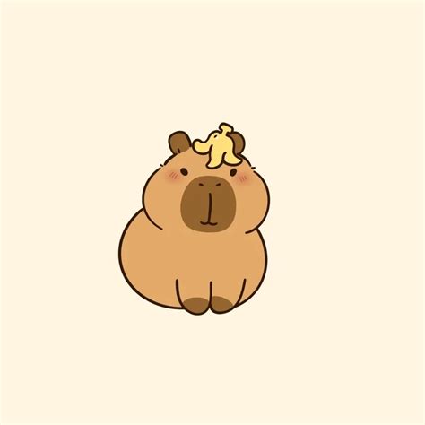 kham pha nhung anh cute chibi capybara sieu de thuong danh cho ban