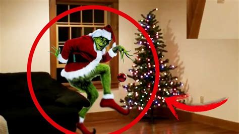 5 Grinch Grabados Y Vistos En La Vida Real Youtube