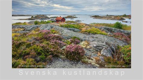 Fotokonst Natur Sk Rg Rd En Bakgrundsbild Fr N Stockholms Sk Rg Rd