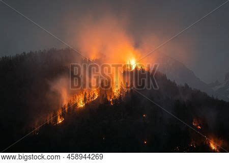 Forest Wildfire Night Image & Photo (Free Trial) | Bigstock