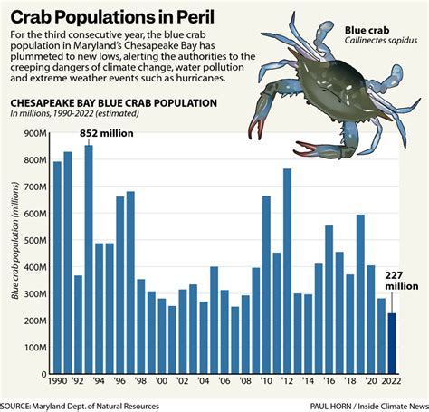 Crab Season 2024 Alaska Dates Mada Sonnie