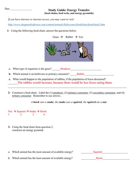 Food Chains Food Webs And Energy Pyramid Worksheets Free Pintables