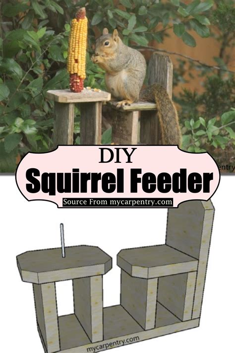 34 DIY Squirrel Feeder Plans For Your Backyard - DIYsCraftsy