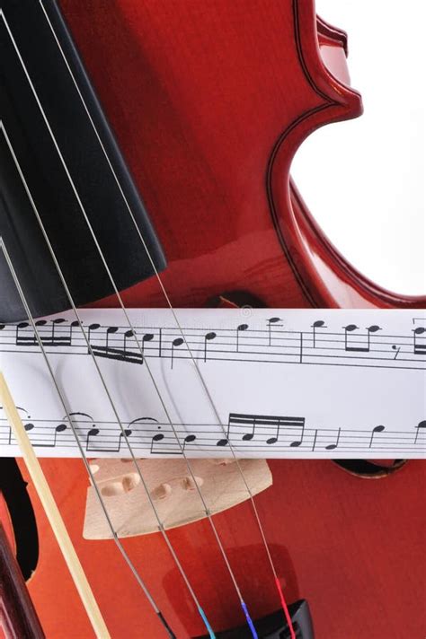 Violino E Arco Violino Fechar Em Fundo Branco Foto De Stock Imagem De