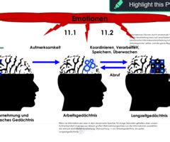 Kapitel Interaktion Von Emotion Und Kognition Karteikarten Quizlet