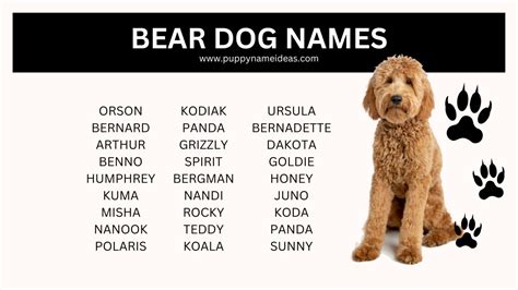 180+ Bird Dog Names - Puppy Name Ideas