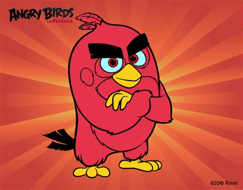 Dibujo De Red De Angry Birds Pintado Por En El Día 25 05 16