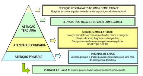 Piramide Atenção Em Saude Organização E Políticas De Saúde