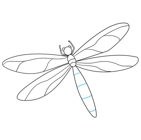 How To Draw A Dragonfly Really Easy Drawing Tutorial Dragonfly