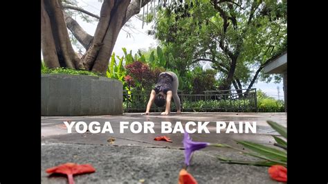 Yoga Untuk Sakit Pinggang Yoga For Back Pain Youtube