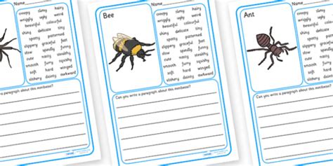 Minibeasts Description Writing Frames Teacher Made