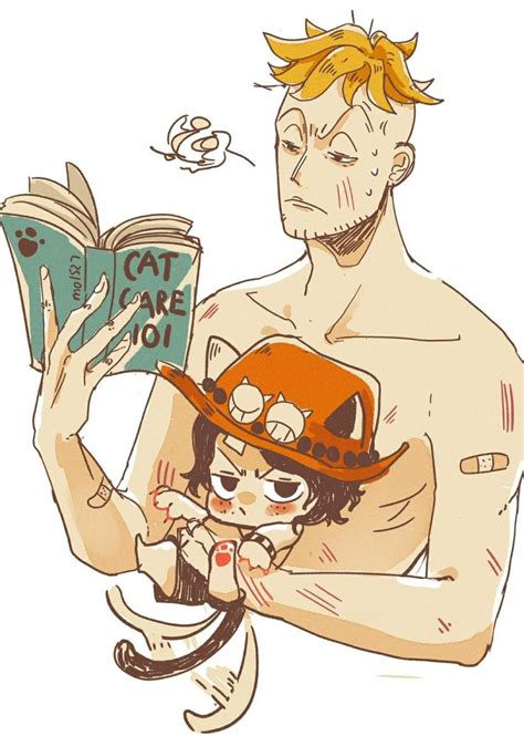 Marco X Ace Manga Anime One Piece One Piece Comic One Piece Ace