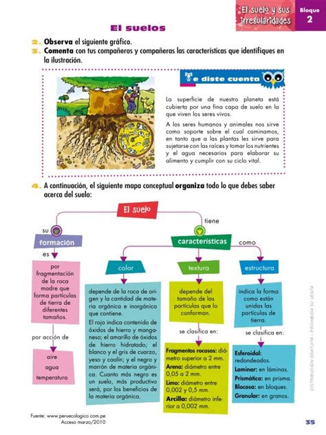 Cuadros Sinópticos Sobre El Suelo Y Sus Componentes Cuadro Comparativo