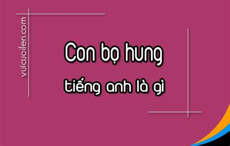 Con B Hung Ti Ng Anh L G V C Nh Th N O Cho Ng Thcs H Ng Th I