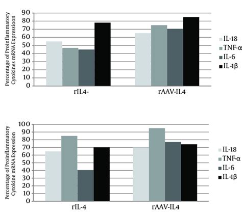 Construction Of Aav Rat Il And Evaluation Of Its Modulating Effect On