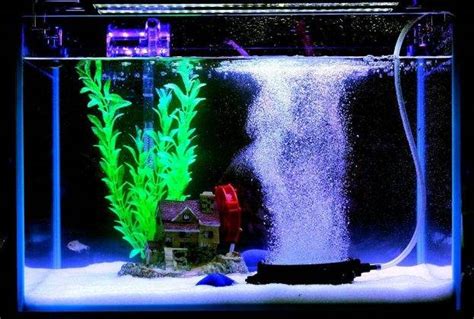 bulleur aquarium a quoi ça sert Aquablog