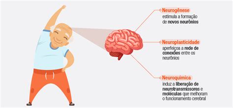 Exerc Cio F Sico Na Terceira Idade Benef Cios Do Corpo Mente